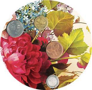2018鑫產品 富貴花開，財源滾滾的水果盛宴